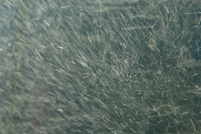 Microgotas