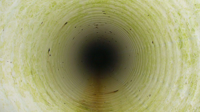 Túnel (2)