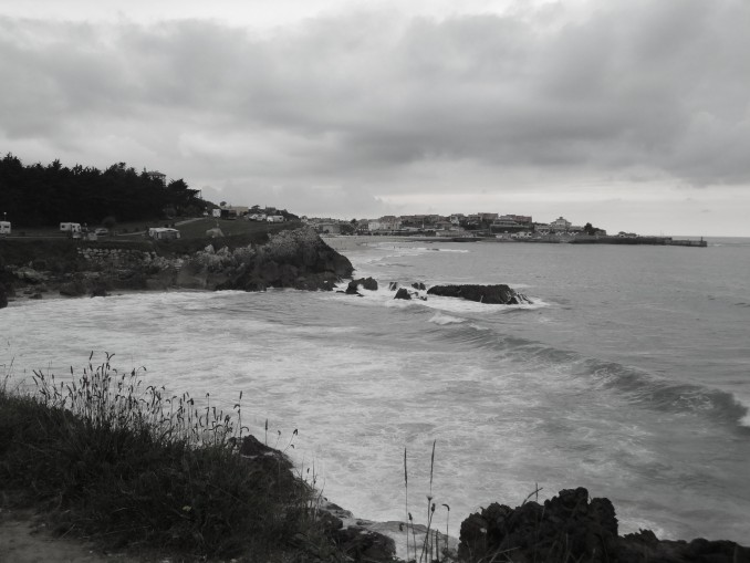 DSC07091