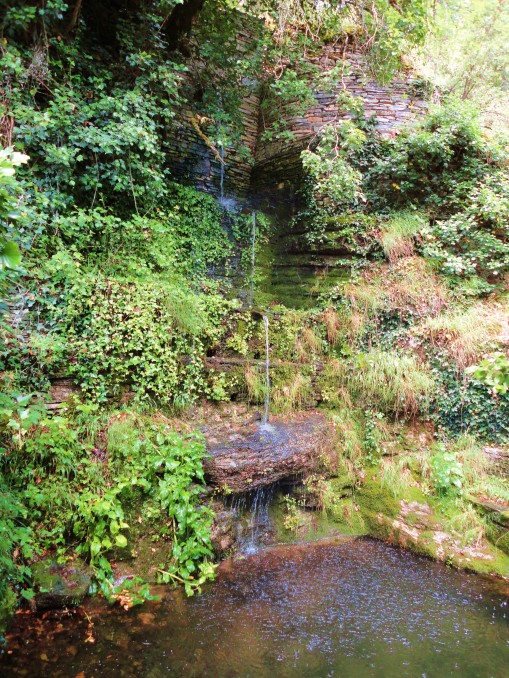DSC07903