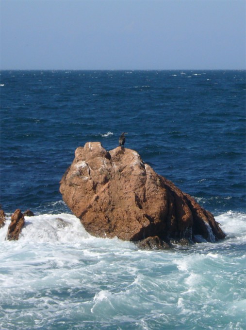 P1010387