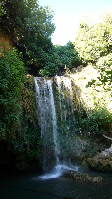 P1040747