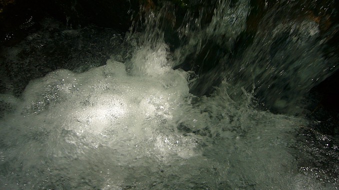 P1100562