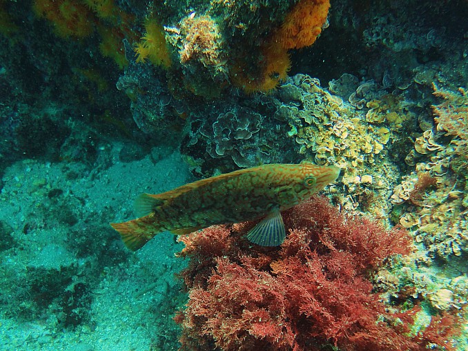 DSC01571