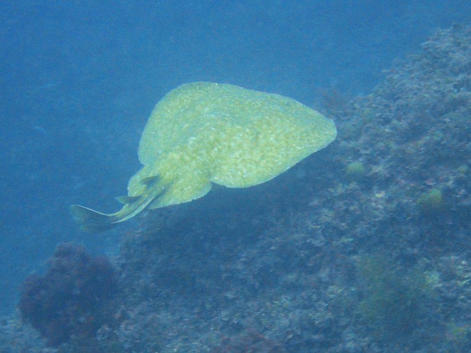 DSC01980