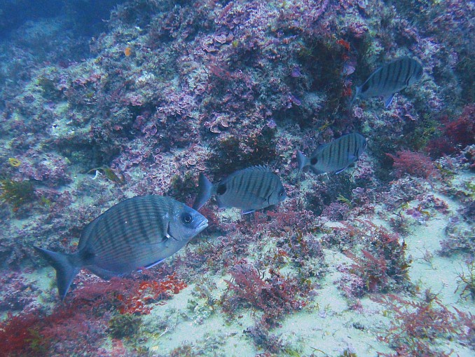 DSC02173