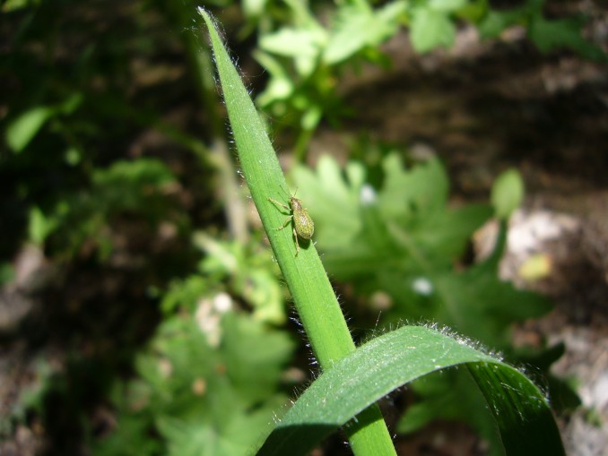 P1020318