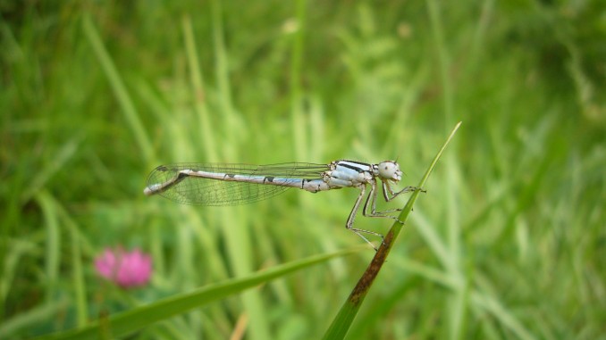 P1070378