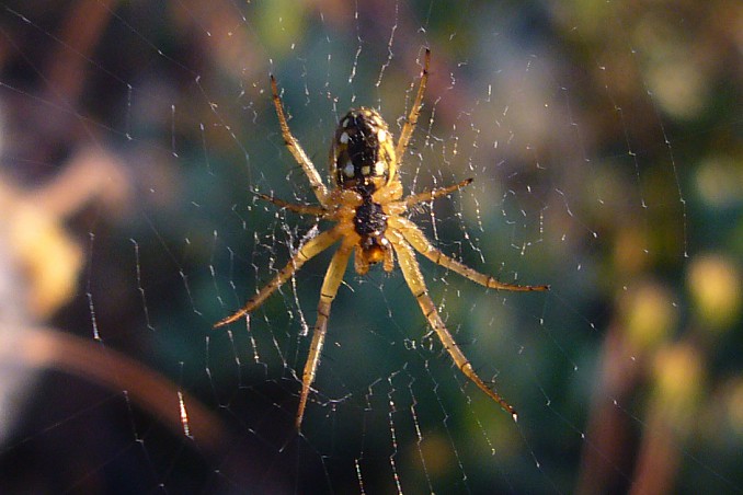 P1100001
