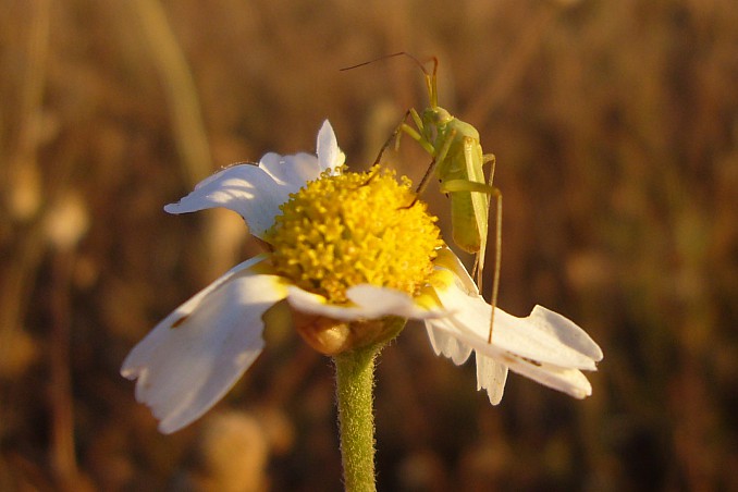 P1100006