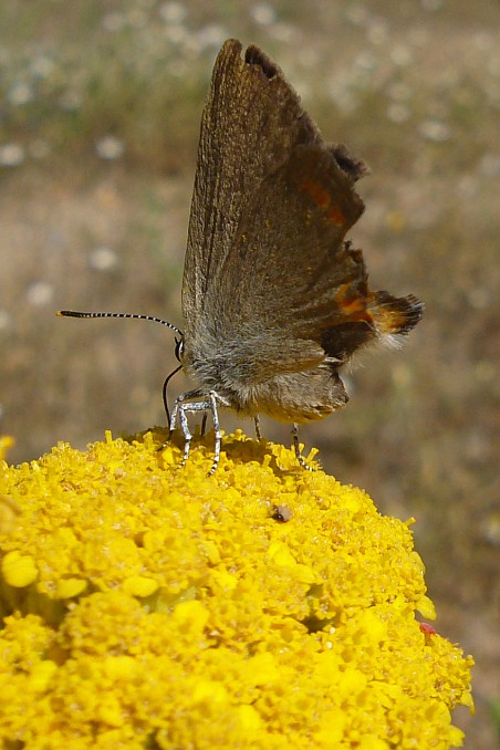 P1100040