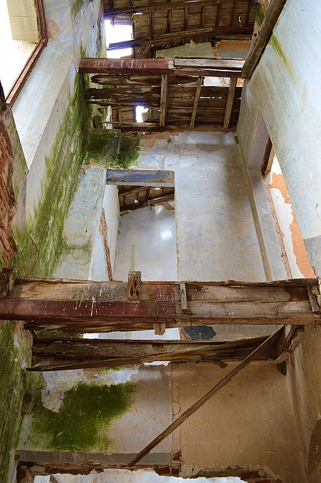 DSC 0320