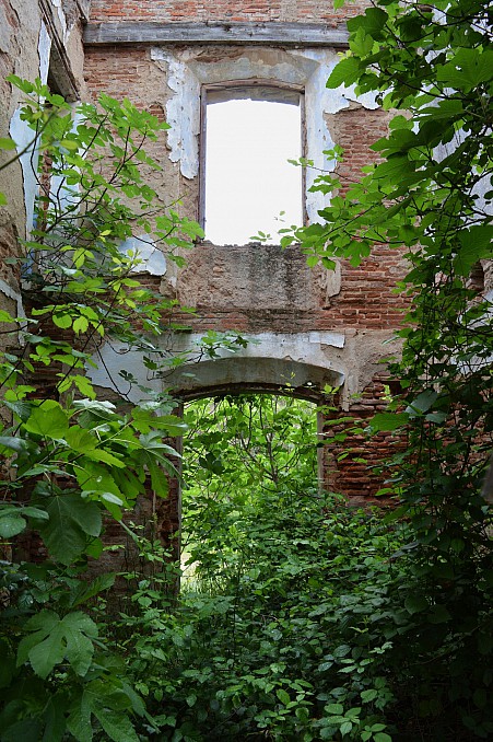 DSC 0209