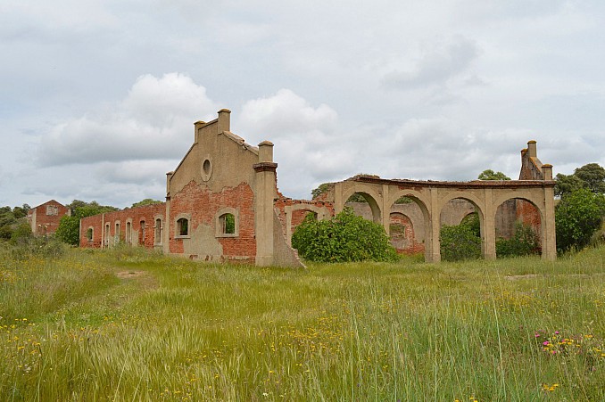 DSC 0250