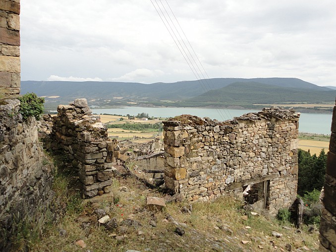 DSC07704