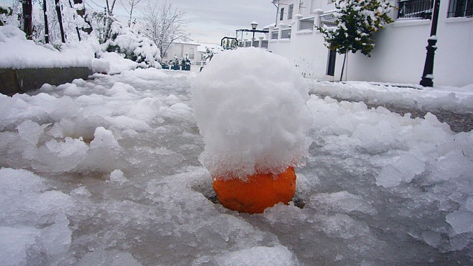 Naranja nevada