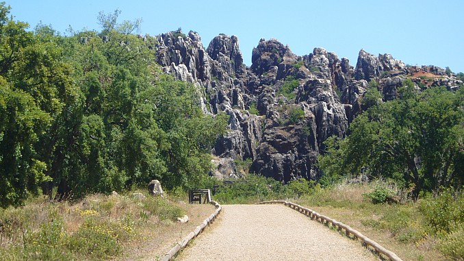 P1100124
