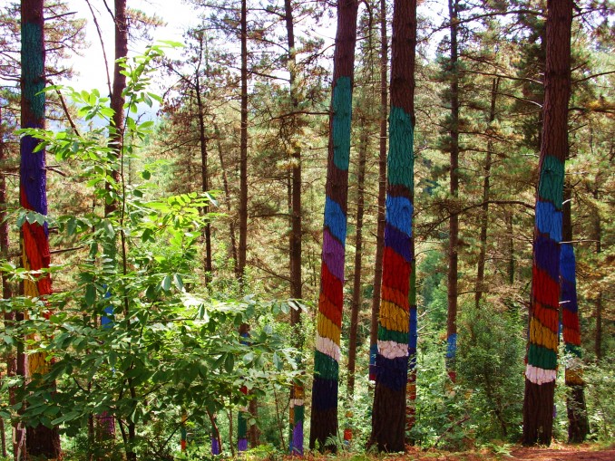Bosque encantado de Oma, Kortezubi