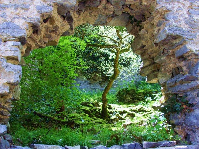 botanico2