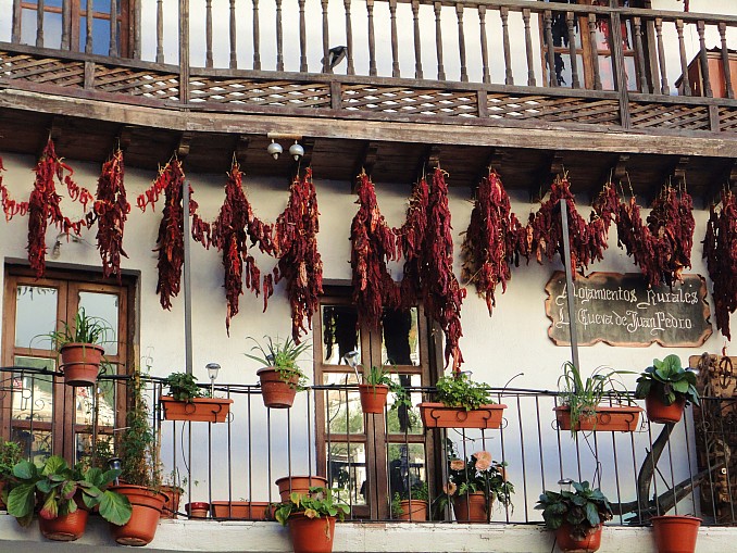 Pimientos choriceros
