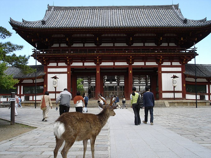 Fauna en los templos de Japón