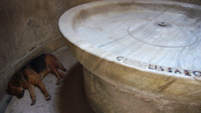 Perro de Pompeya