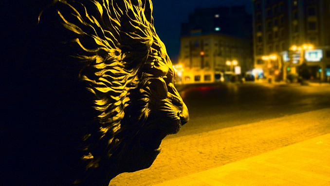 León leonés