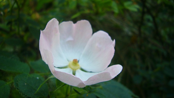 P1120509