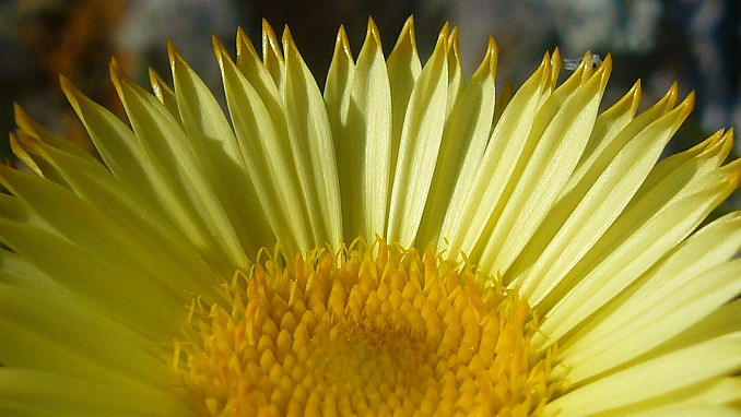 P1140024