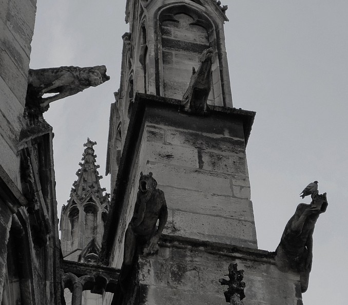 Gárgolas de la Catedral de Saint André (Burdeos)