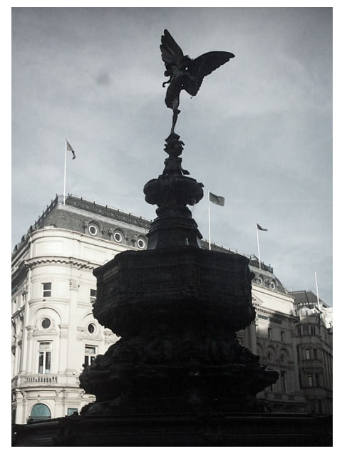 IMAG0190