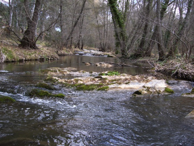 Río Hueznar