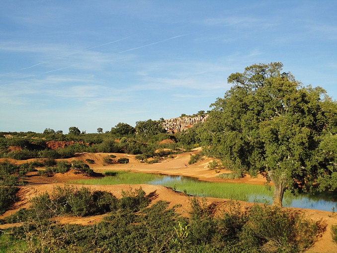 Charca en el Cerro del Hierro