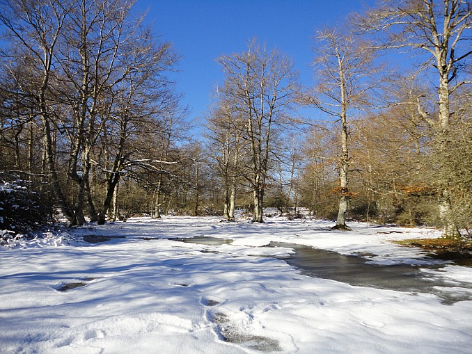 Invierno en Opakua