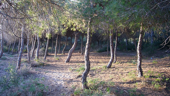 P1050956