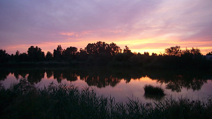 Atardecer en la laguna del Guadiamar