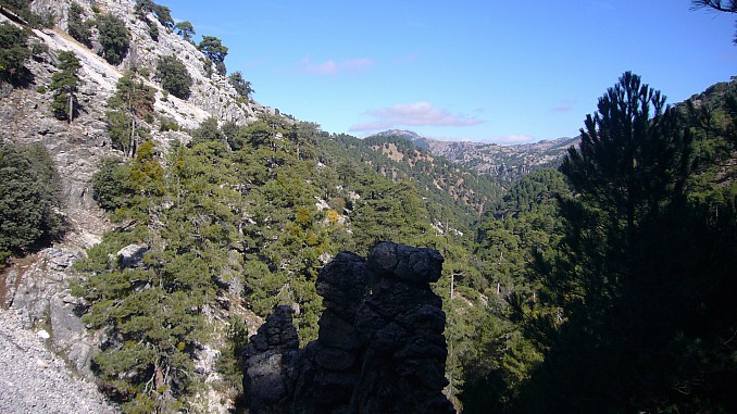 P1080266