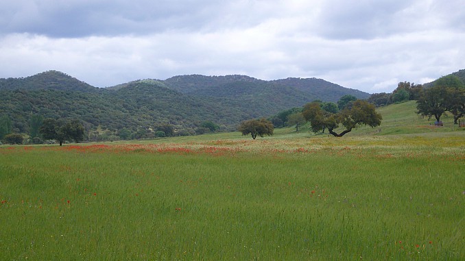 P1090649