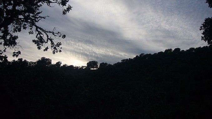 P1110295
