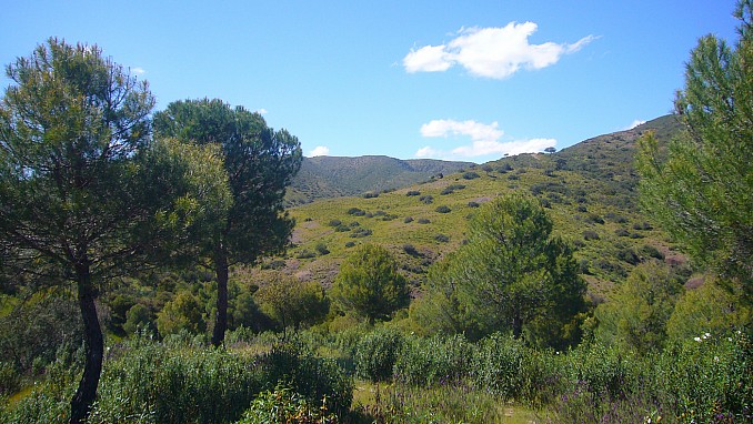 Sierra Morena entre Alanís y Fuente Obejuna (3)