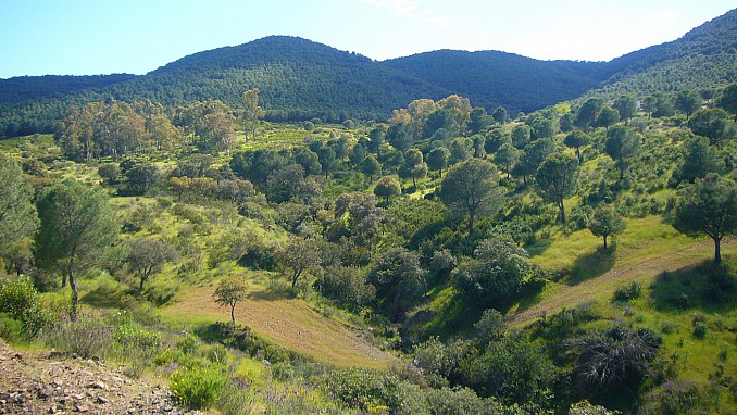 Sierra Morena entre Alanís y Fuente Obejuna (1)