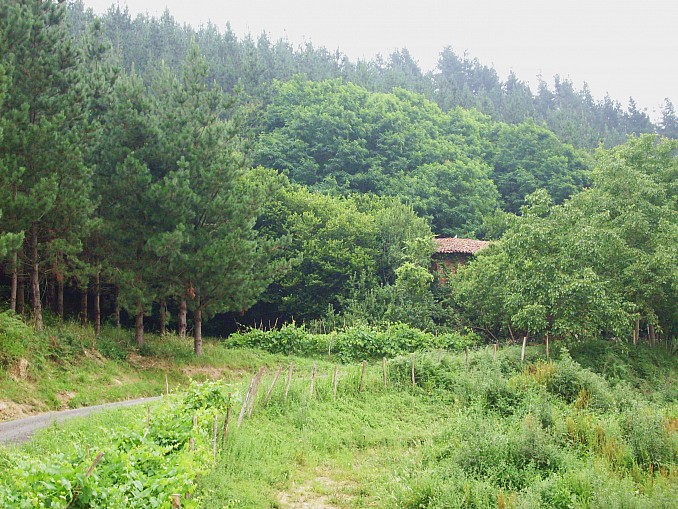 Paisaje de Dima