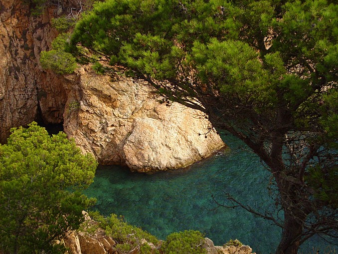 Paisaje desde Castell