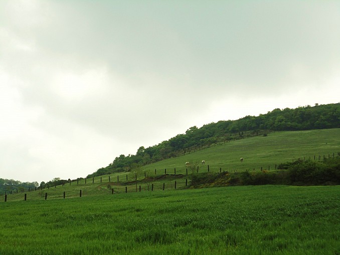 Pastos de Olárizu