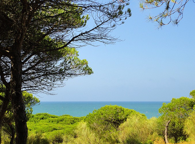 Pinares de Rota