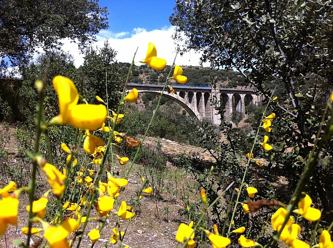 Sierra norte de Sevilla