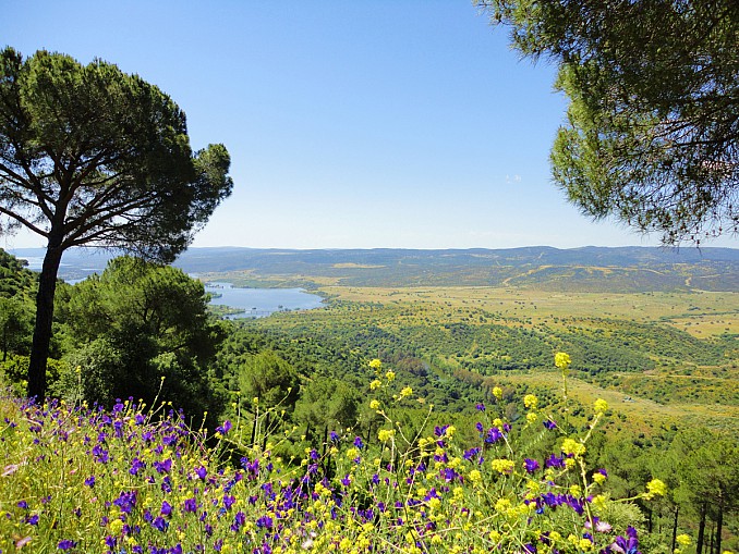 Vistas del embalse de El Pintado