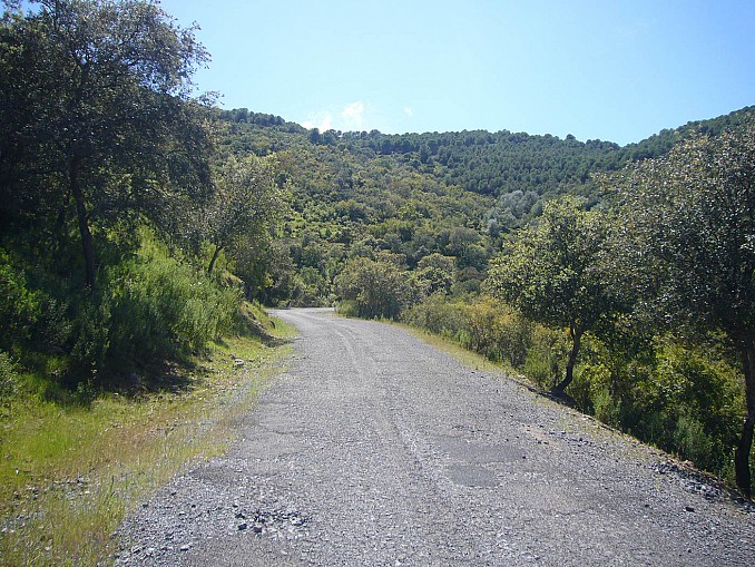 Carretera A-447