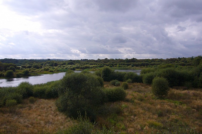 Laguna de Cospeito (Lugo)