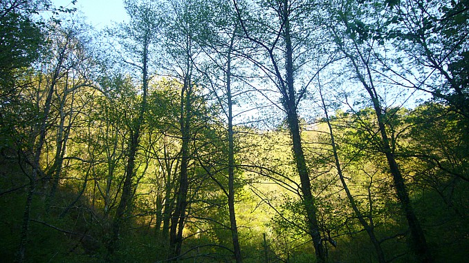 Paisaje cerca de Etxalar (Navarra)